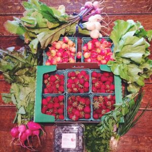 Picking The Right CSA Image
